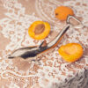 collect23 home vintage